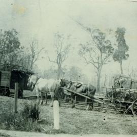 McConnell Brothers, Sugar Cane transportation, Pomona Railway Station yards, Pomona, ca 1910
