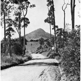 'The Open Road', Pinbarren, ca 1931