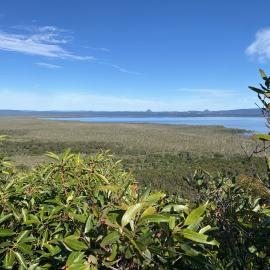 Views south across Lake Cootharaba, Brahminy walking trail, Cooloola Wilderness Trail, Great Sandy National Park, Cooloola, 14 June  2025