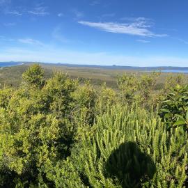 Scenic views, Teewah Beach to Lake Cootharaba,  Brahminy walking trail, Cooloola Wilderness Trail, Great Sandy National Park, Cooloola, 14 June  2026