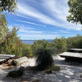 Campsite, Brahminy walking trail, Cooloola Wilderness Trail, Great Sandy National Park, Cooloola, 14 June  2025