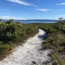 Brahminy walking trail, Cooloola Wilderness Trail, Great Sandy National Park, Cooloola, 14 June  2025