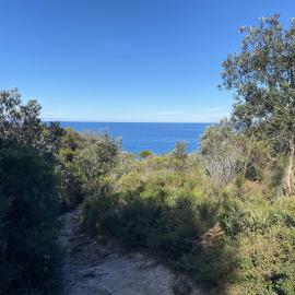 Scenic views, Brahminy walking trail, Cooloola Wilderness Trail, Great Sandy National Park, Cooloola, 14 June  2025
