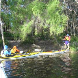 Campsite investigations, Noosa River, Cooloola, 5 June 2004