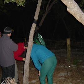 Campers, Noosa River, Campsite 3, Como, 5 June 2004