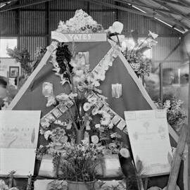 Display, Gloria Nursery, Cooroy Show, Show Society Grounds, Mary River Road, Cooroy, 1949