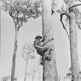 Soldier, Military Training Camp, Cooroy Showgrounds, Cooroy, May 1951