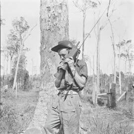 Communications, Commonwealth Military Forces Training Camp, Cooroy Showgrounds, Cooroy, 1951