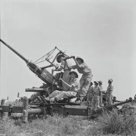 Artillery unit, Commonwealth Military Force training, Sunshine Beach region, May 1951