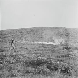 Flame thrower, Citizen Military Force training, Sunshine Beach region, 1951