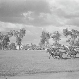 Cavalry demonstration, Cooroy Show, Cooroy Show Society Grounds, Mary River Road, Cooroy, 1951
