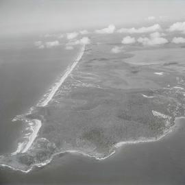 Aerial view, Noosa National Park, Noosa Heads, 1969