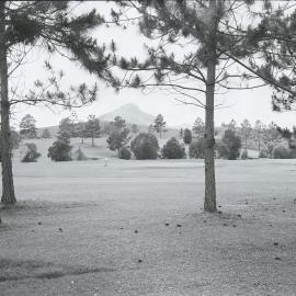 Course, Cooroy Golf Club, Cooroy, 1969