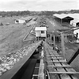 Conveyor, North Coast Sawmill, Cooroy, 5 October 1979