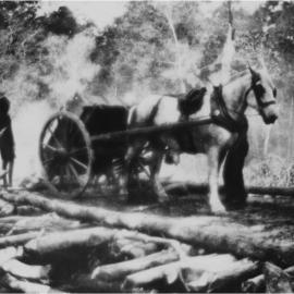 Quarry work, Eric Playford, Pomona quarry, Pomona, ca 1928