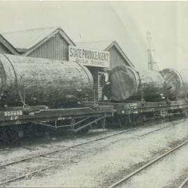 Bell's Tree logs, State Produce Agency, Roma Street Railway Yards, 1919