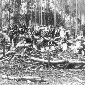 Locals and downed Bell's tree, Cooran, 1918