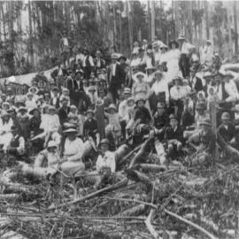 Locals and downed Bell's tree, Cooran, 1918