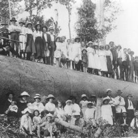 Locals and downed tree, Cooran, 1918