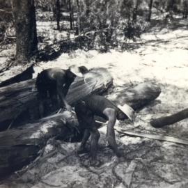 Timbergetting, Selwyn Beckmann with Ray Gibson, Noosa River, Cooloola, 1950s