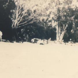 Daytrippers, Boreen Point, 1924