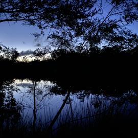 Evening views, Upper Noosa River, Great Sandy Recreation Area, Cooloola, 10 December 2025