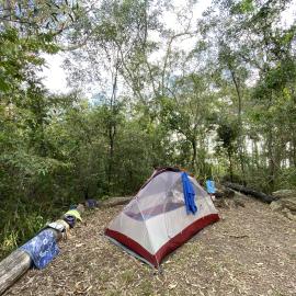Campsite, Fig Tree Point, Noosa River,  Great Sandy National Park, Como, 11 December 2025