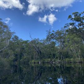 Entrance, Upper Noosa River, Como, 9 December 2025