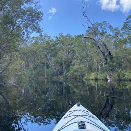 Entrance, Upper Noosa River, Como, 9 December 2025
