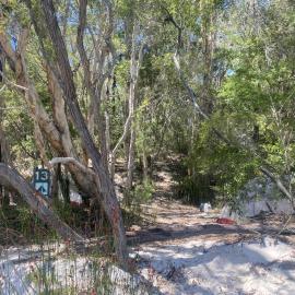 Campsite 13, Noosa River,  Great Sandy National Park, Cooloola, 10 December 2025