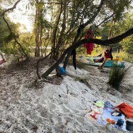 Campsite 13, Noosa River,  Great Sandy National Park, Cooloola, 10 December 2025