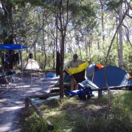 Campsite 4, Noosa River,  Great Sandy National Park, Cooloola, 19 July 2008