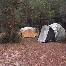 Camp site, Fig Tree Point, Noosa River,  Great Sandy National Park, Como, October 2001