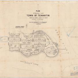 Map, Town of Tewantin, Parish of Noosa, 1875
