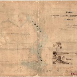 Survey Plan, Grainger Ward selection, Tewantin, 1870