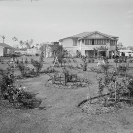Dwelling and gardens, Nuttals Family, Tewantin, 1955