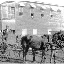 Horse and buggy, Tewantin, ca 1900s