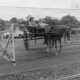 Horse-drawn cart, Cooroy railway crossing, 1984