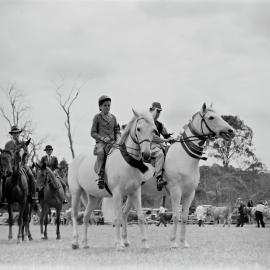 Champions parade, Noosa Show, Pomona Showgrounds, Pomona, 1948