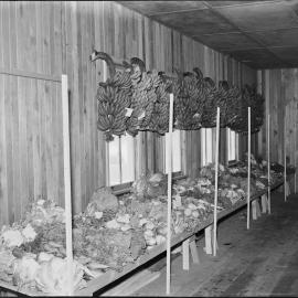 Fruit & Vegetables exhibit, Noosa Show, Pomona Showgrounds, Pomona, 1955