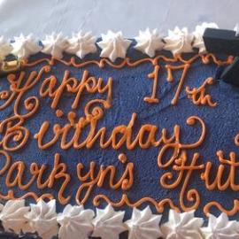Cake, Parkyn's Hut 17th Birthday, Noosa River, Tewantin, 12 June 2018