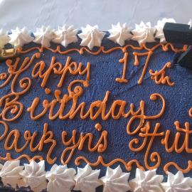 Cake, Parkyn's Hut 17th Birthday, Noosa River, Tewantin, 12 June 2018