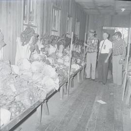 Fruit & Vegetables exhibit, Noosa Show, Pomona Showgrounds, Pomona