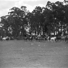 Equestrian Parade, Noosa Show, Pomona Showgrounds, Pomona, 1947