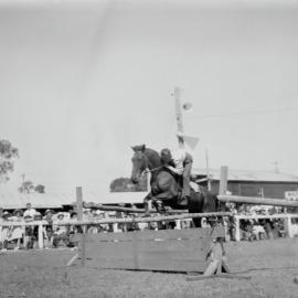 Equestrian competition, Noosa Show, Pomona Showgrounds, Pomona, 1952