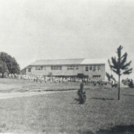 Cooroy State School, Cooroy, 1959