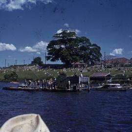 Festival, Tewantin Memorial Park, Tewantin