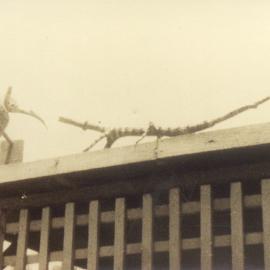 Artwork, Boreen Point Kiosk, Boreen Point, 1950s