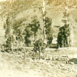 Alf Francis Farm 'Lone Pine,'  Moran Group Settlement, Kin Kin