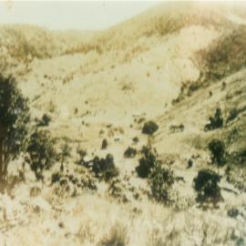 Dwellings, Alf Francis farm 'Lone Pine,'  Moran Group Settlement, Kin Kin